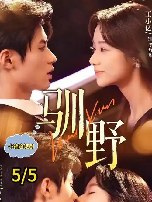 山海故人剧集封面